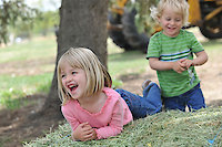Ferien auf dem Bauernhof im Bayer. Wald